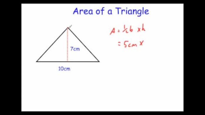 how-do-you-find-the-area-of-a-triangle-onhax-me